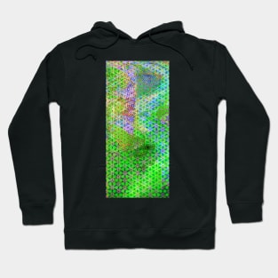 GF307 Art and Abstract Hoodie